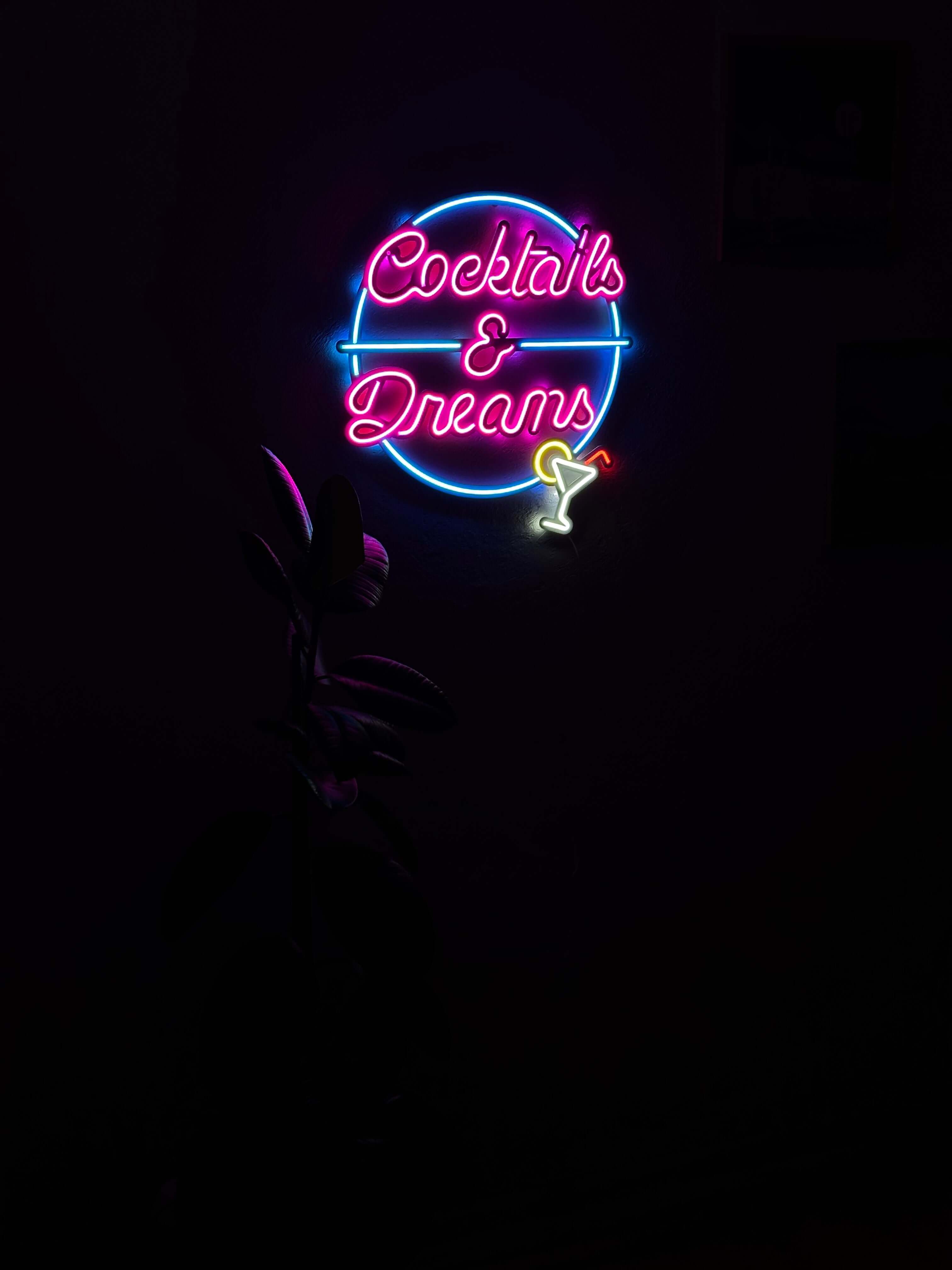 Cocktails and Dreams Neon Metal Wall Art, Neon Sign | Neon Signs