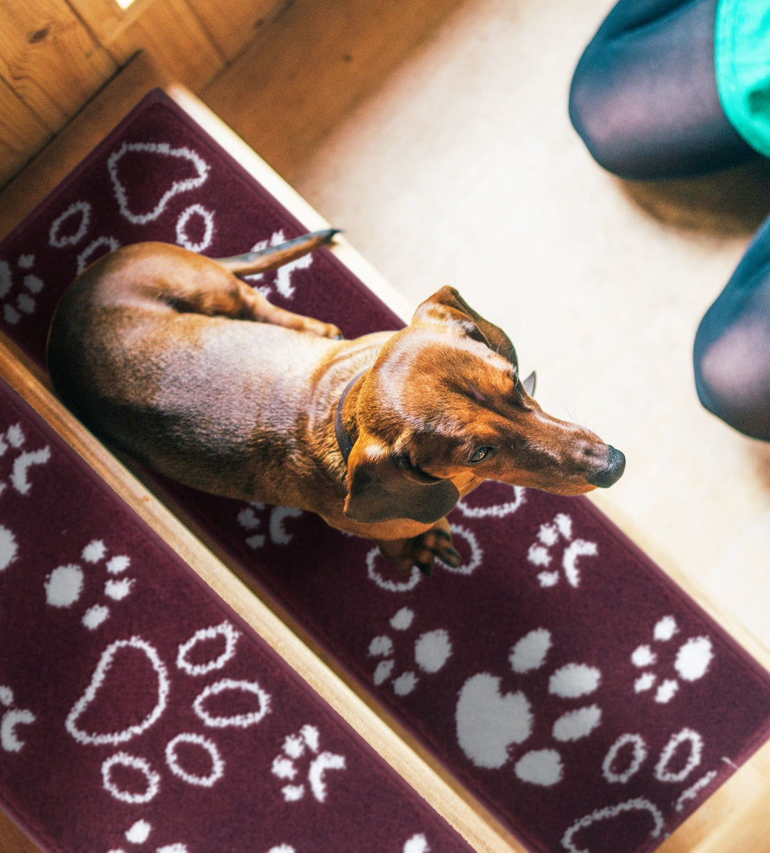 Stair Treads Rug 9"x28" Paw Collection | Red & White