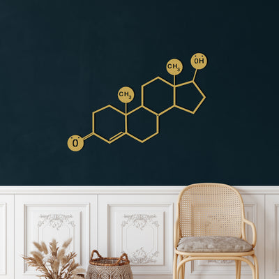 Molécule de Testostérone Art Mural en Métal