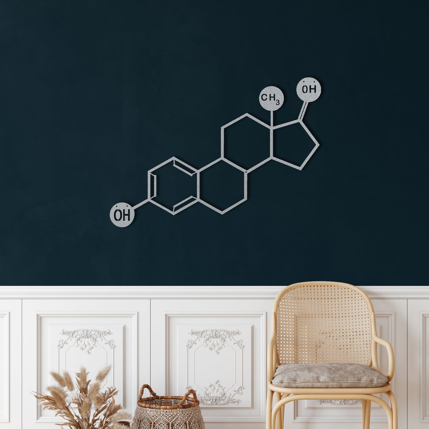 Molécule d'œstrogène Art Mural en Métal