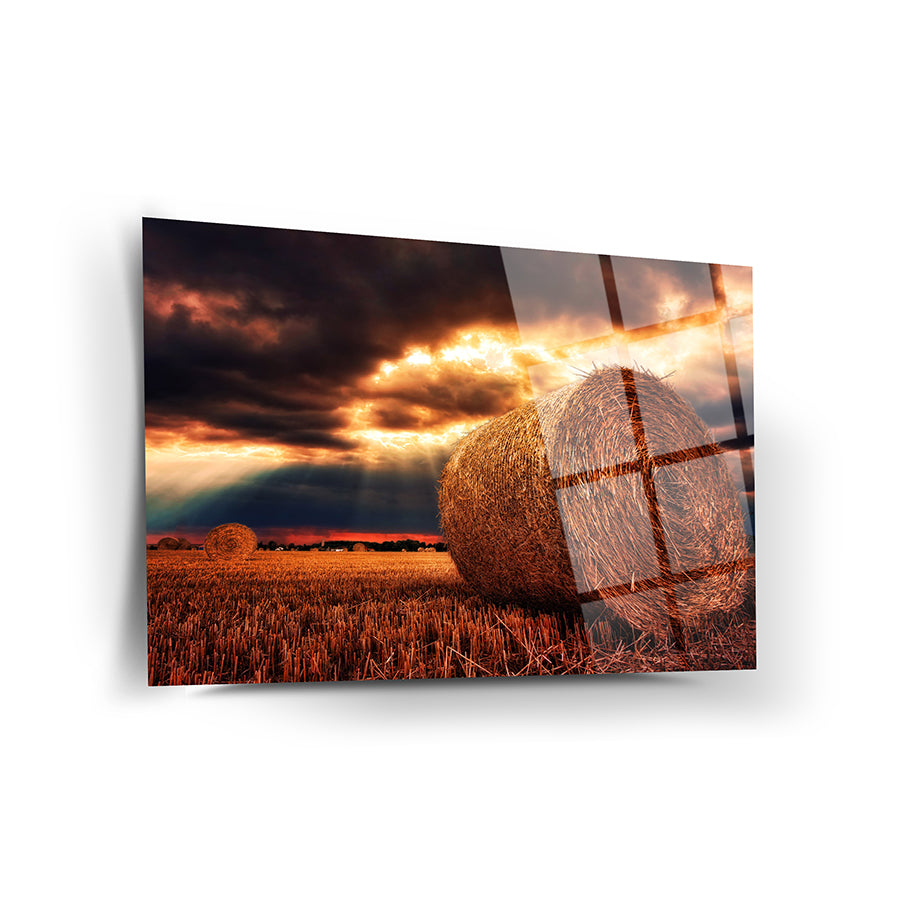 Harvest Time Wall Decor