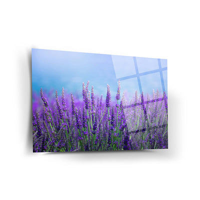 Ode Plant Wall Decor