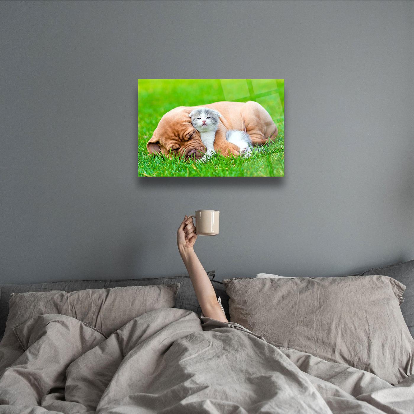 Dog and Cat Wall Decor